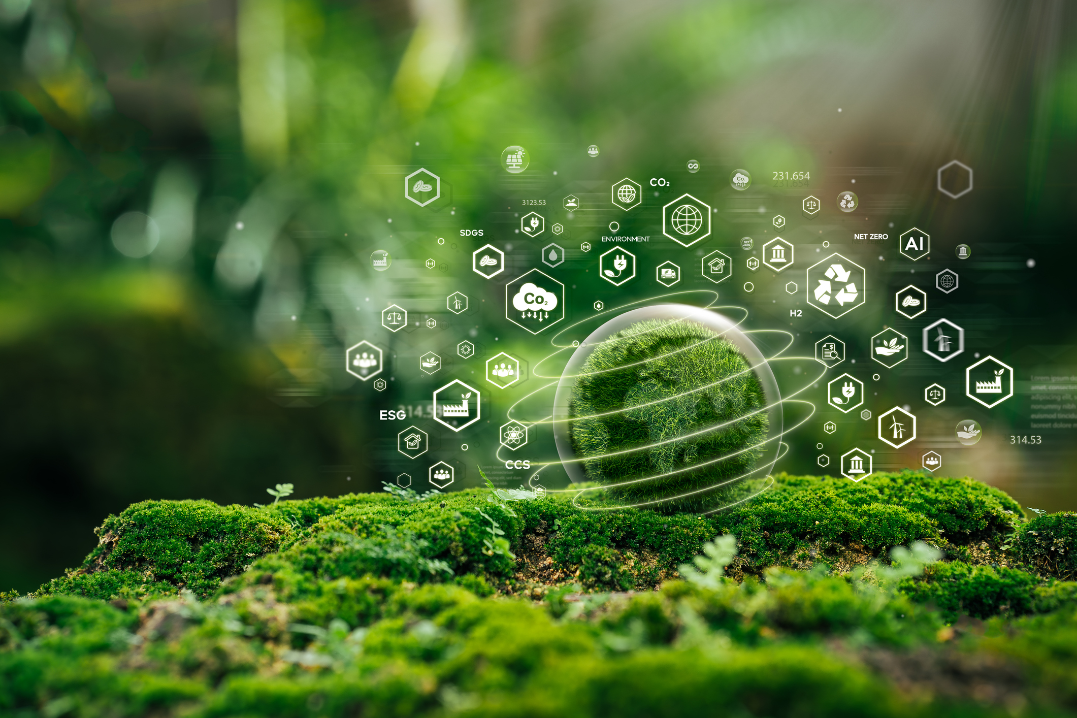 Sustainable Purchasing
